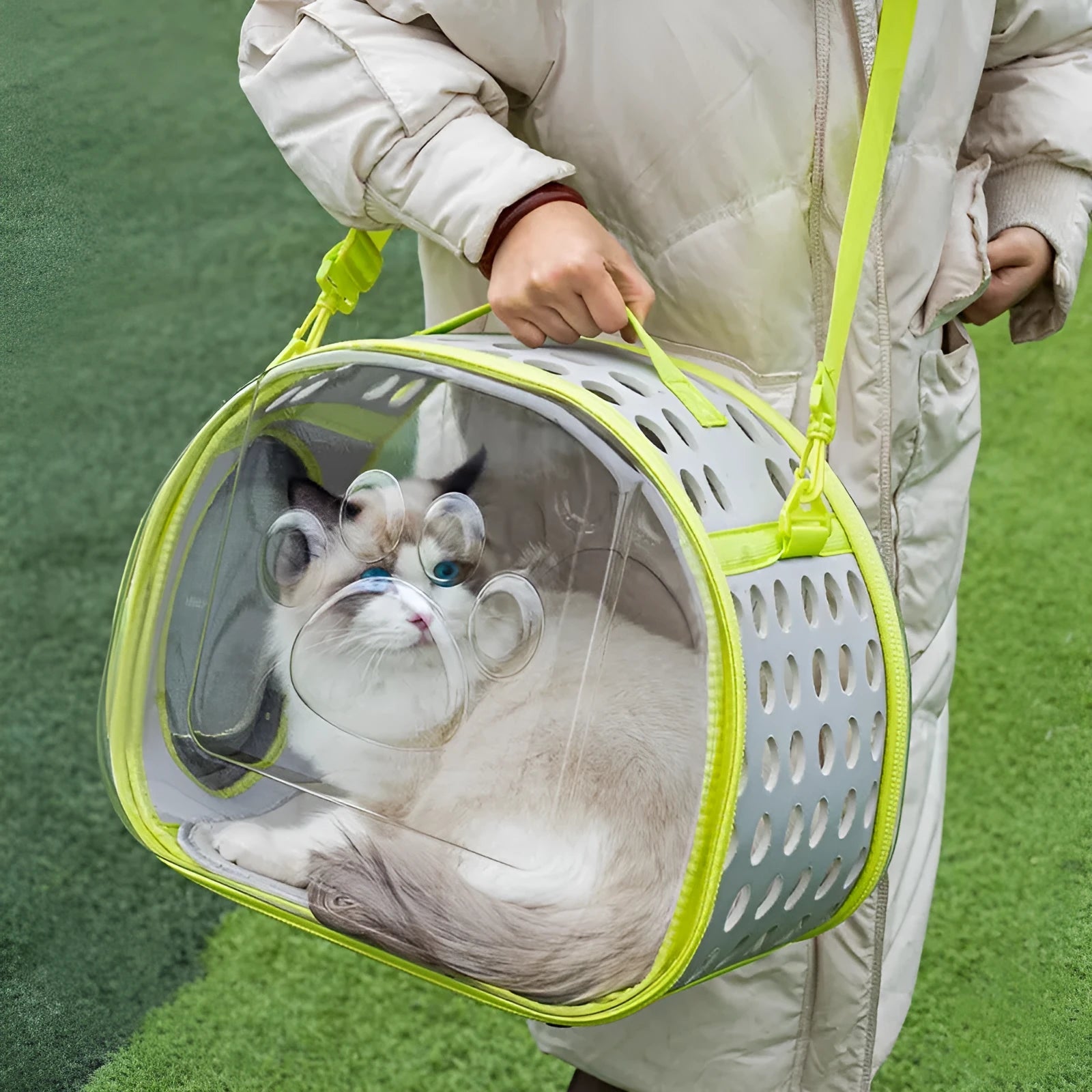 Transparent space capsule cat backpack in hard EVA material showing interior space