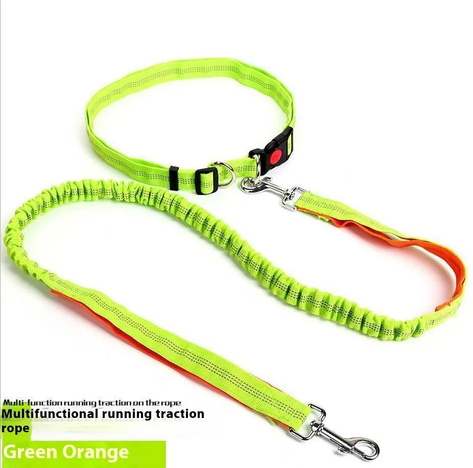 Reflective dog leash with elastic sling in two-tone colours for night walking