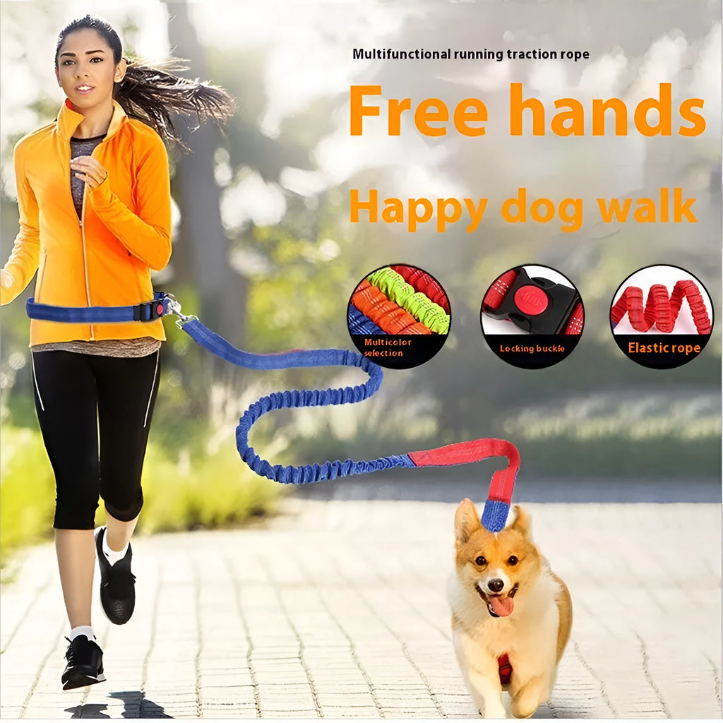 Reflective dog leash with elastic sling in two-tone colours for night walking