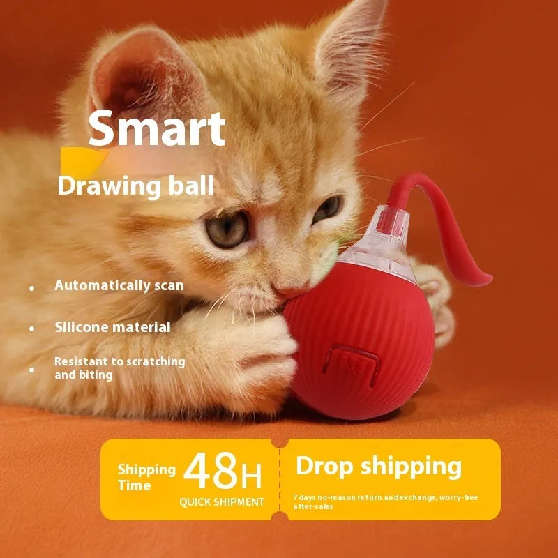 Interactive cat rolling ball toy in grey, green, and red colour options with automatic motion features