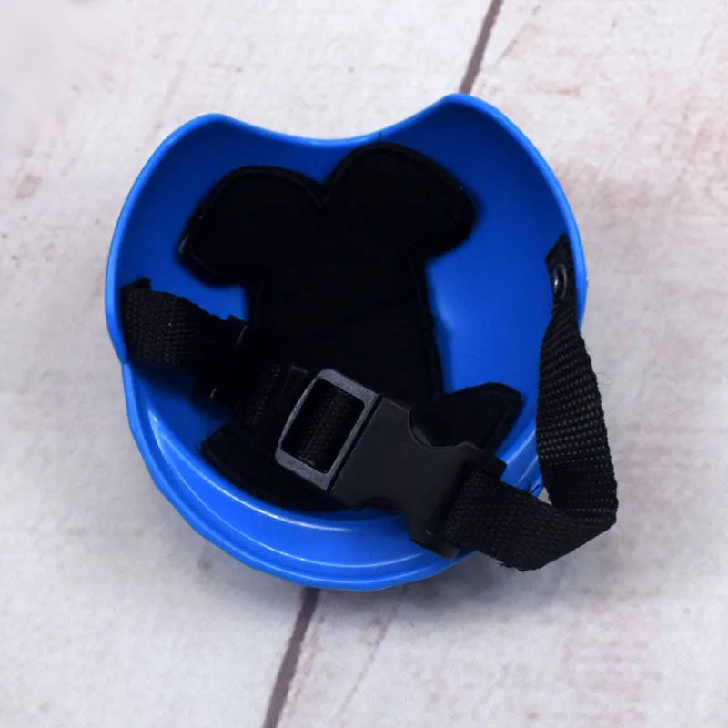 Dog wearing plastic motorcycle cap helmet in Japanese South Korean style, solid colour with paint surface treatment