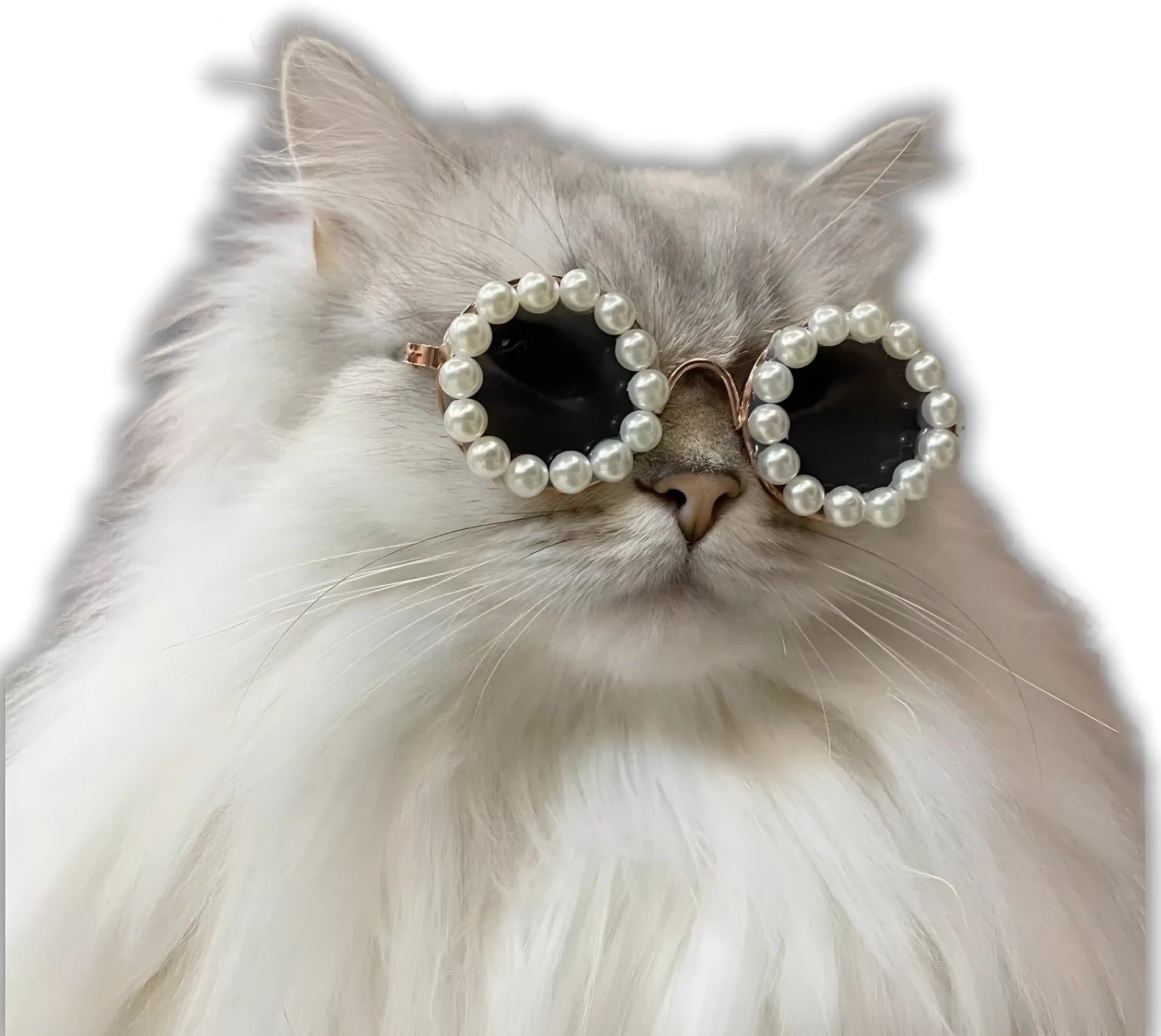 Pearl-rimmed round sunglasses for cats and dogs in multiple colours on a pink background.