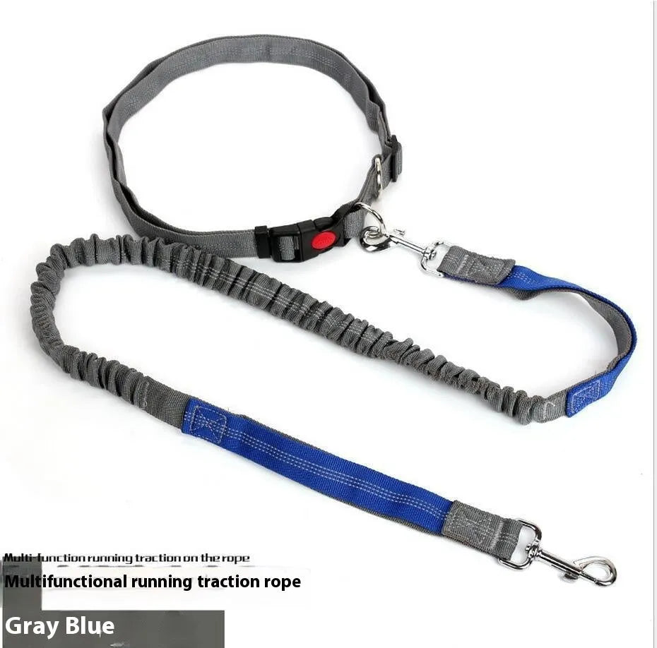 Reflective dog leash with elastic sling in two-tone colours for night walking