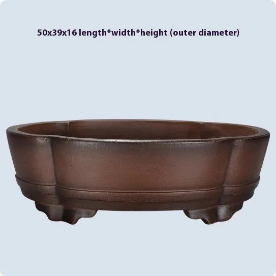 Green classical purple clay bonsai pot with low-profile rectangular shape on a tabletop.
