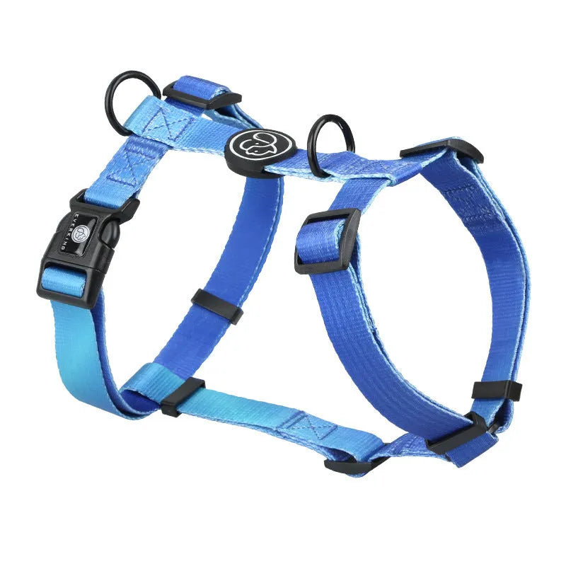 Gradient colour pet chest strap harness showing four pattern options for dog walking