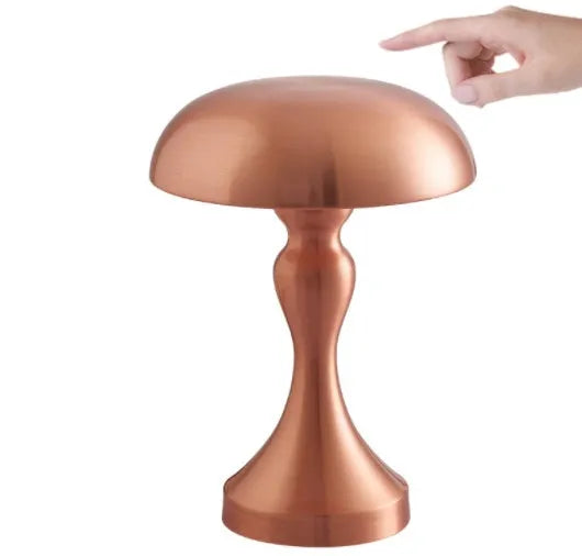 Metallic-finish USB charging desk lamp with touch control on a wooden desk.