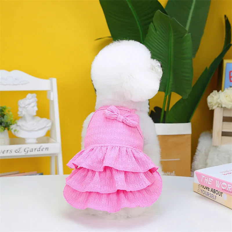 Small dog wearing polyester princess dress with candy layered skirt in water green colour