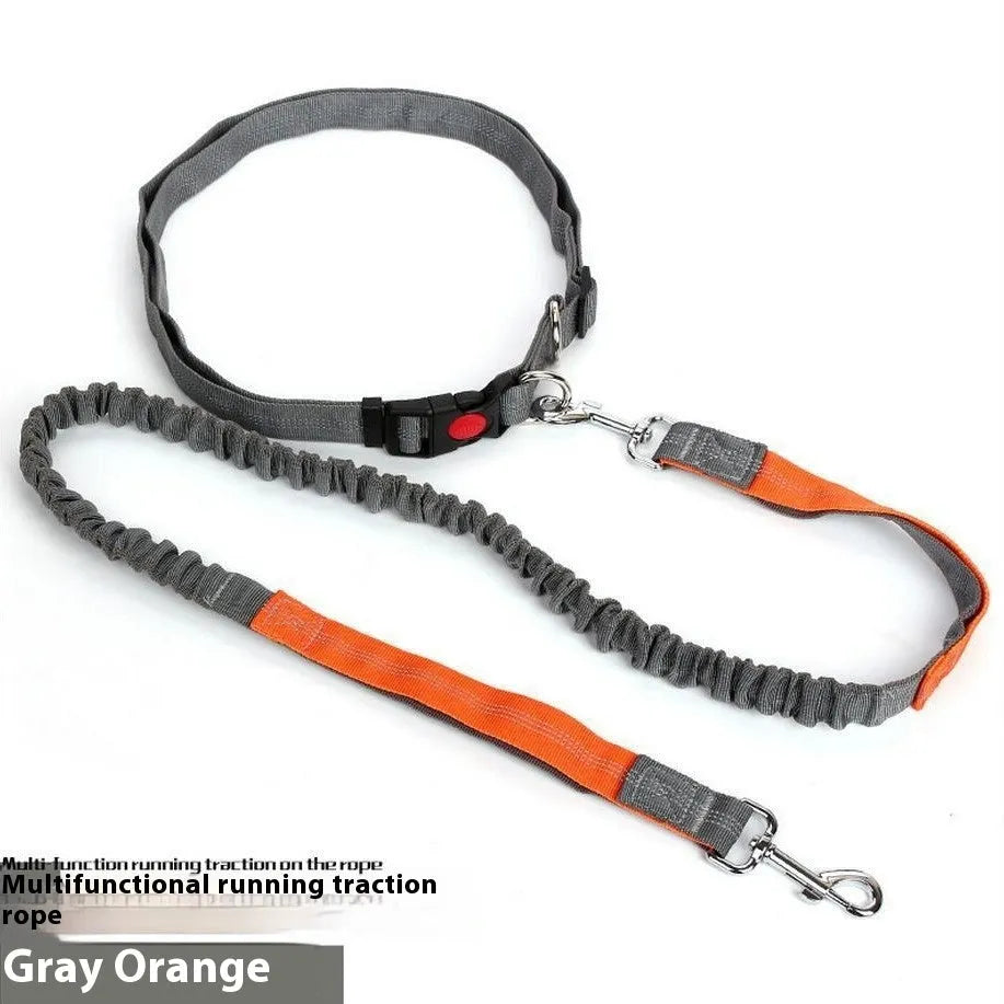 Reflective dog leash with elastic sling in two-tone colours for night walking