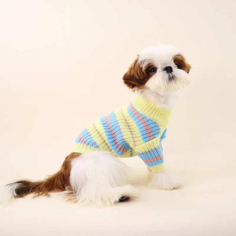 Blue and yellow striped wool sweater on a small dog, showing casual style for autumn