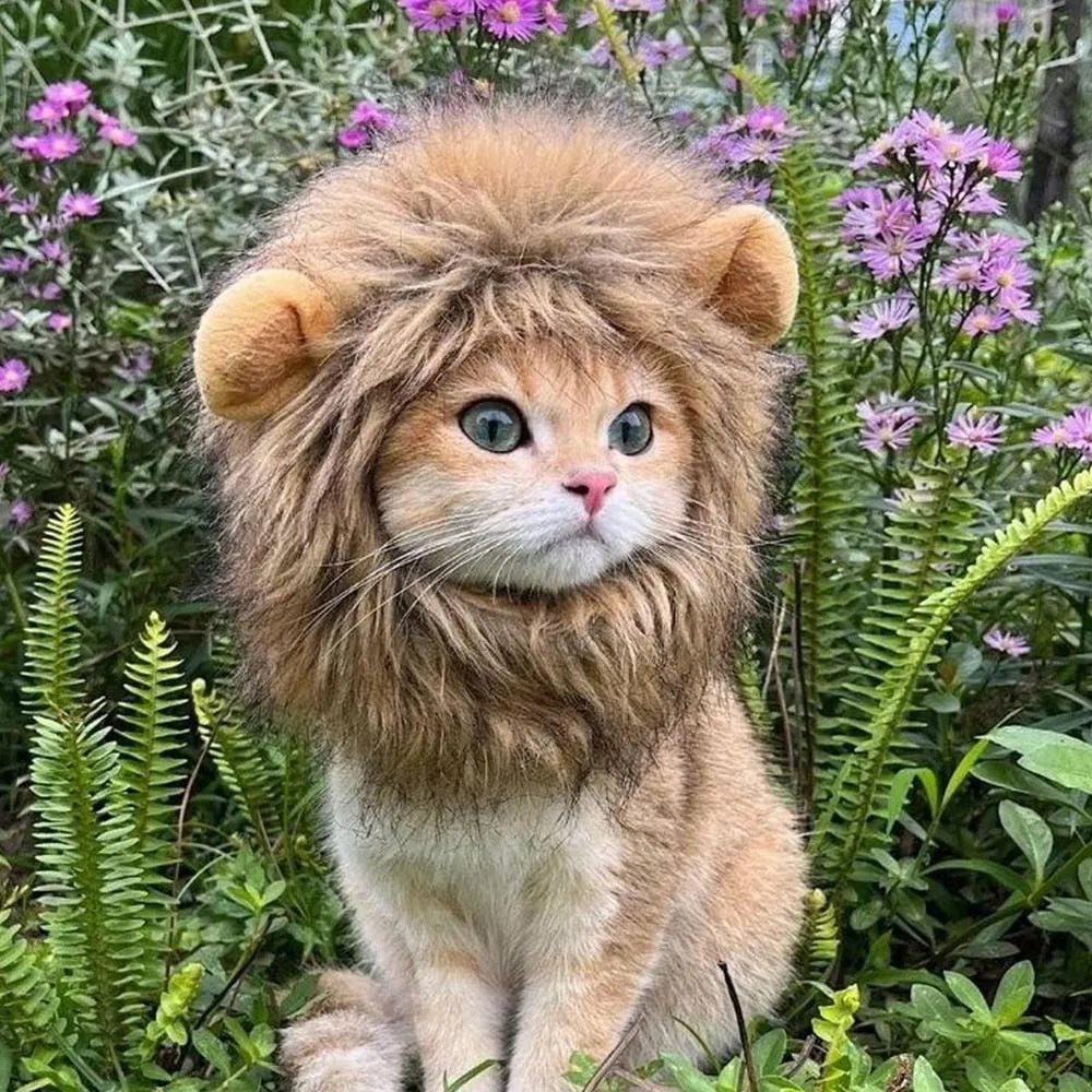 A cat wearing a brown lion mane wig with plush ears and an adjustable strap.
