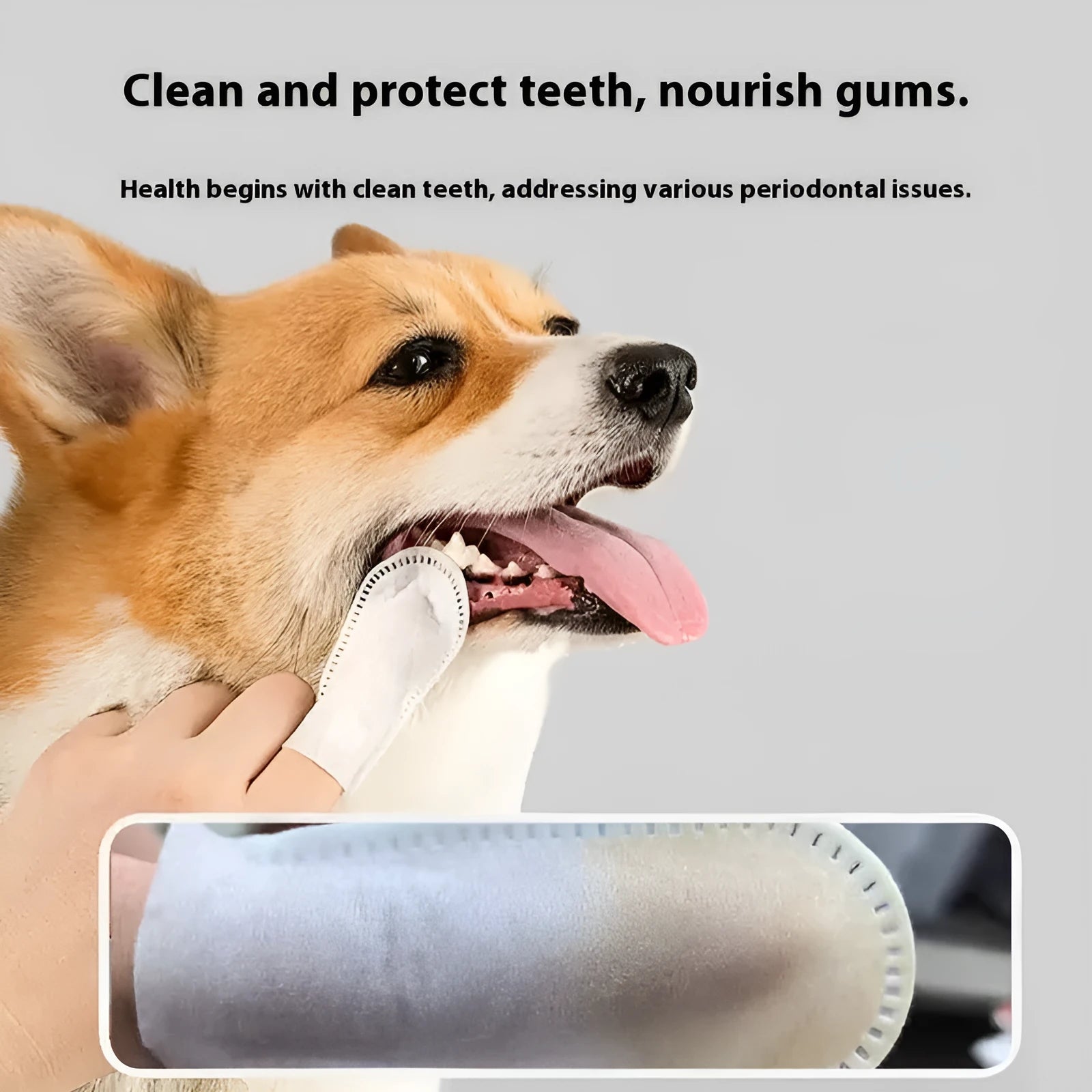 Pack of 50 white non-woven fabric pet dental cleaning finger cots for cats and dogs.