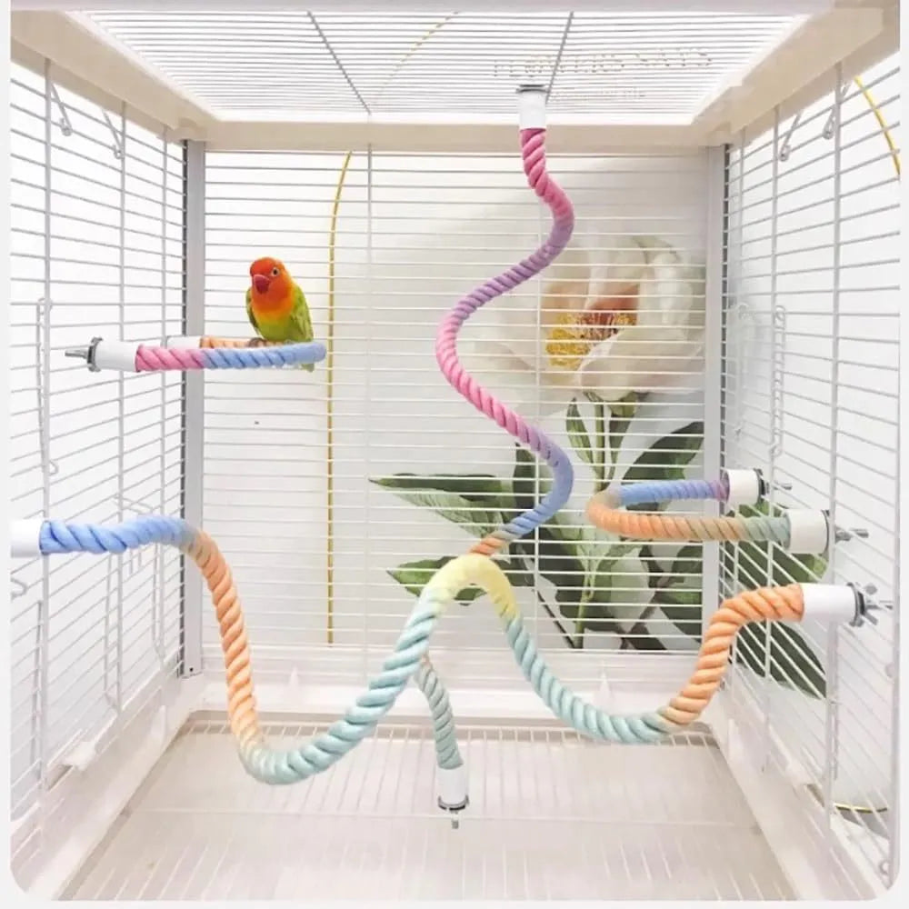 Gradient colour bird rope perch with U-shape and circular swing on a cage
