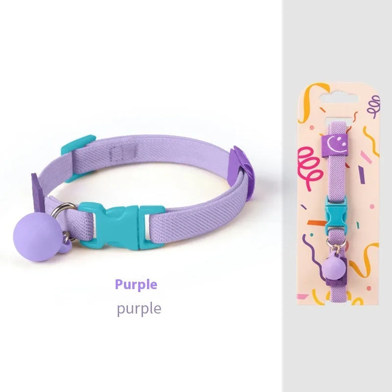 Solid colour elastic polyester dog collar for small breeds, shown in various colours on a white background.