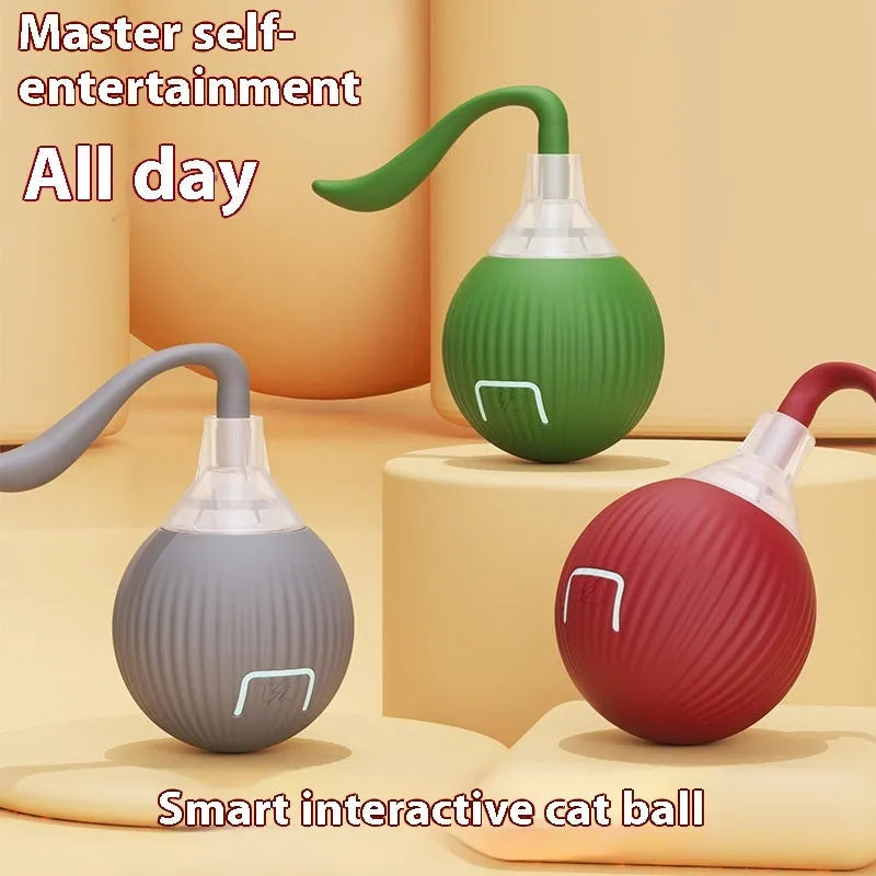 Interactive cat rolling ball toy in grey, green, and red colour options with automatic motion features