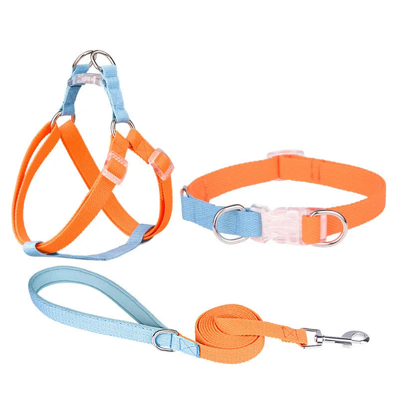 Polyester ribbon dog collar set showing collar, chest strap and traction rope in matching colours