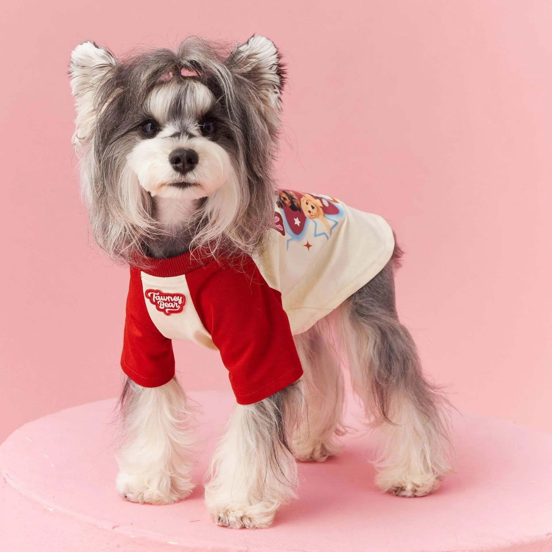 Red cotton dog t-shirt for summer on a small dog