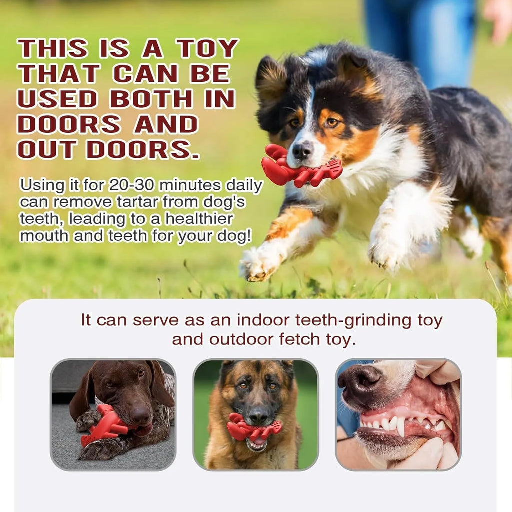 Red Nylabone bone-shaped chew toy for large dogs and aggressive chewers