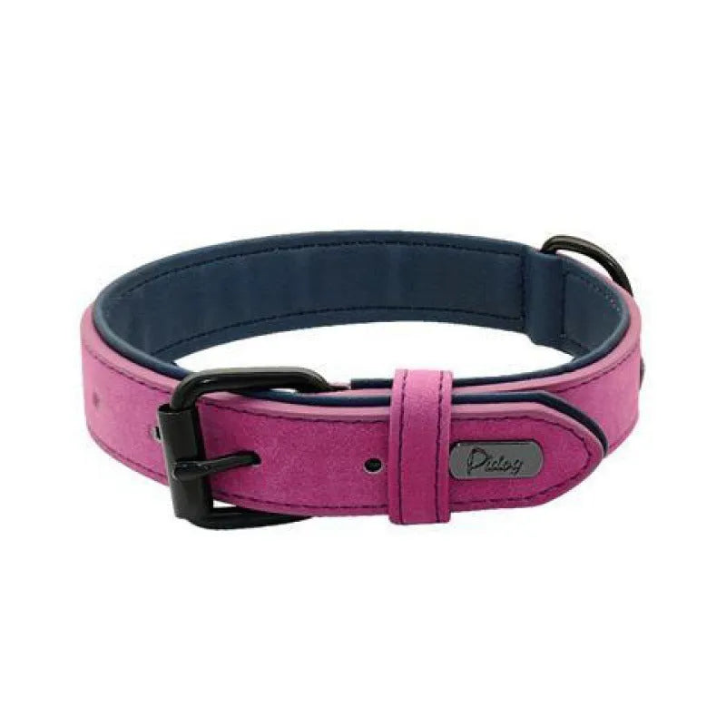 Adjustable dog collar in purple with anti-loss design and durable double-layer construction