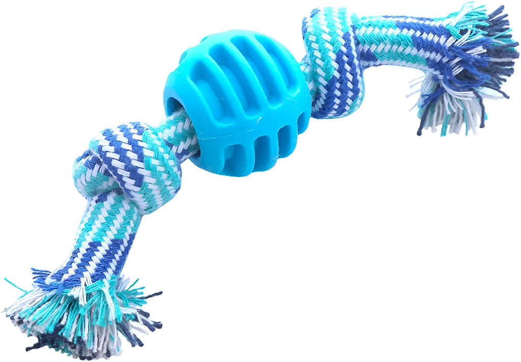 Blue soft dog chew toy in molar shape with integrated white ropes for dental cleaning.