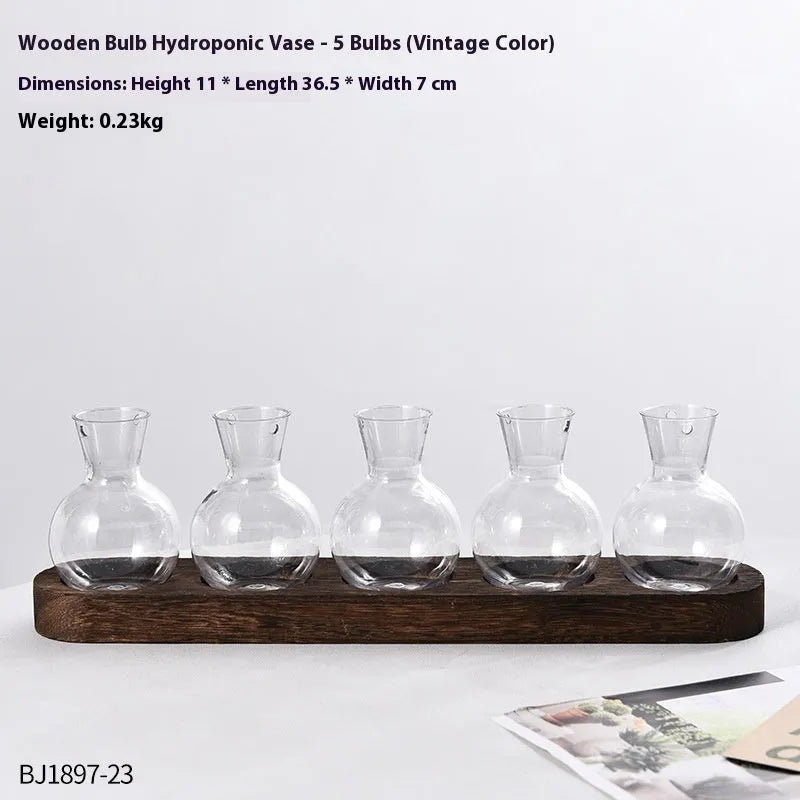 Transparent hydroponic vases in wooden frame holder for plant propagation
