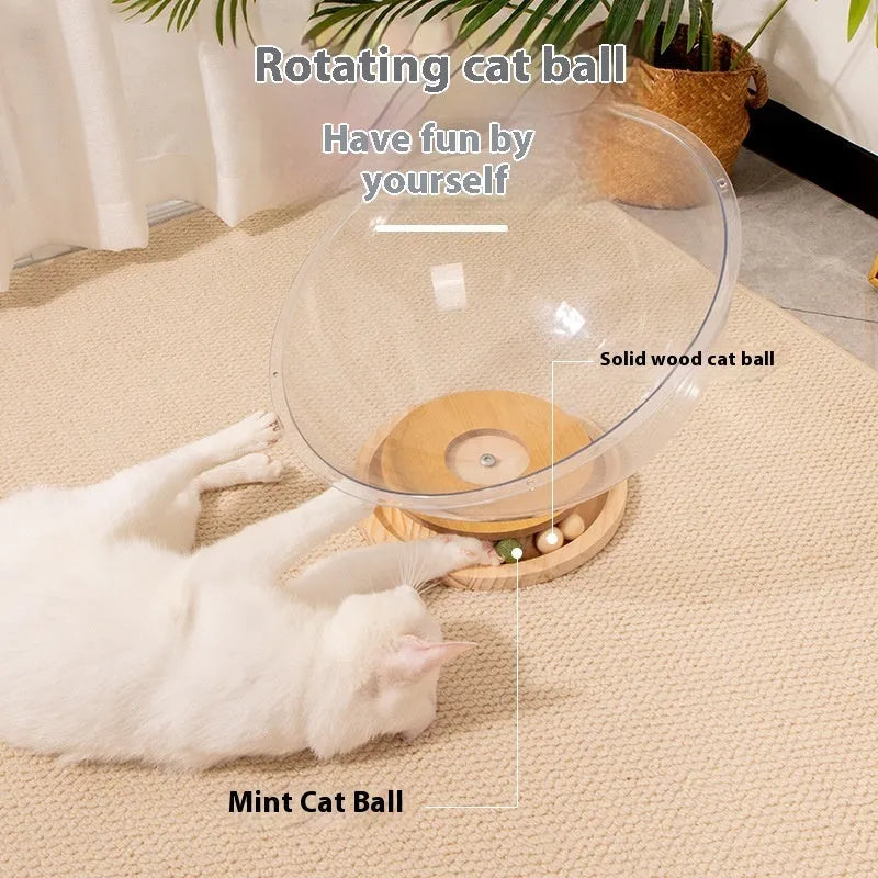 Transparent acrylic space capsule-shaped cat bed or enclosure on a turntable base.