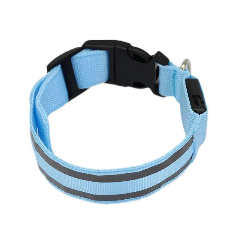 Anti-lost LED luminous dog collar on dog, nylon webbing, monochrome pattern