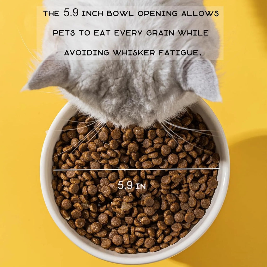 Ceramic raised cat bowl in animal theme design on a floor
