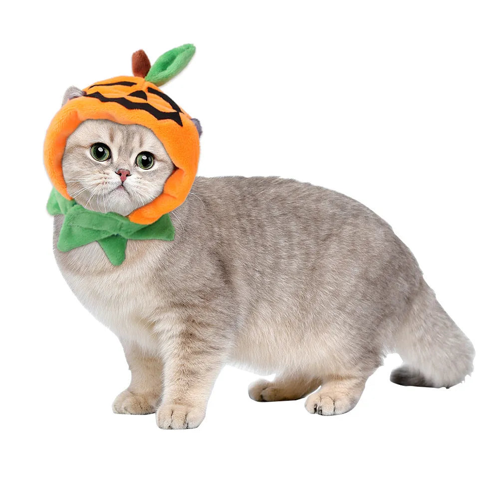Pumpkin-themed double-sided plush cloak for dogs and cats Halloween costume