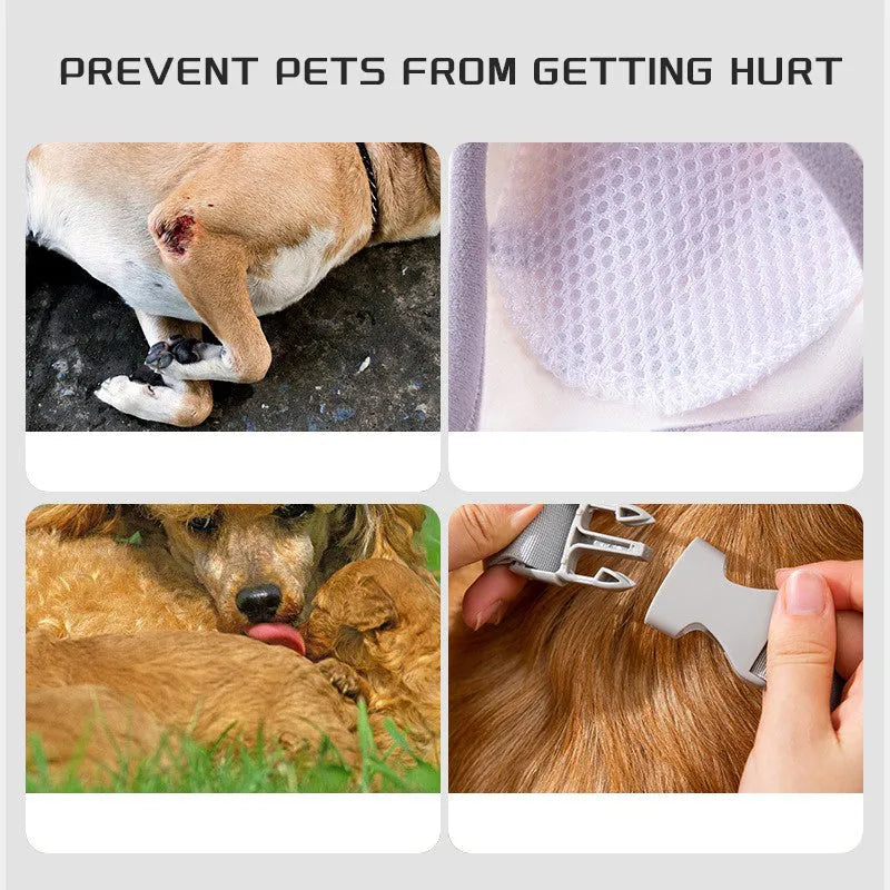 Blue dog knee brace with elbow padding and matching scarf shown on medium-sized dog