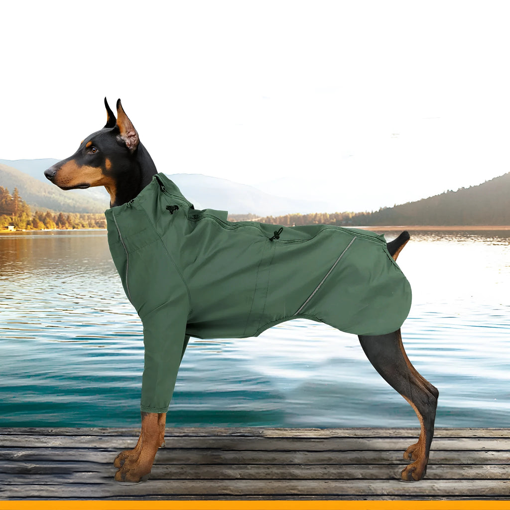 Dog wearing a military green acrylic raincoat with reflective trim and traction hole for lead attachment