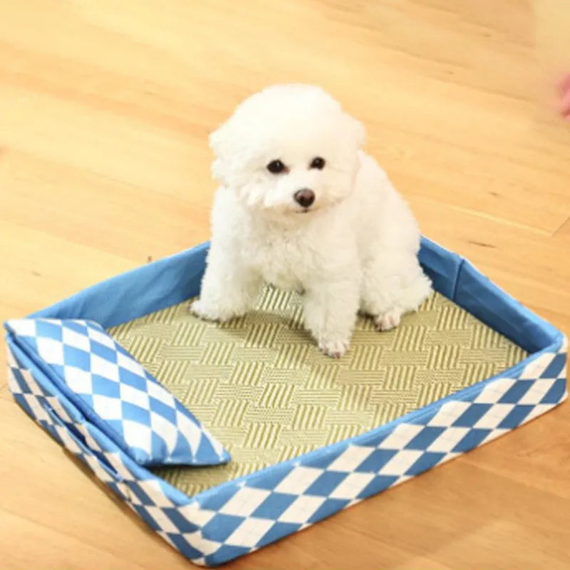 Blue rattan cat litter mat and sleeping bed next to a litter tray, showing woven texture and size scale.