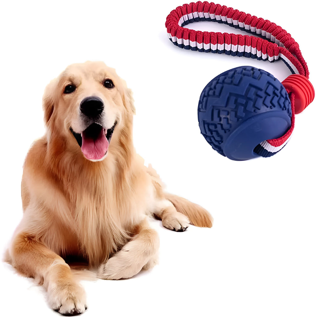 Blue rubber dog ball with rope handle for tug-of-war and teeth cleaning
