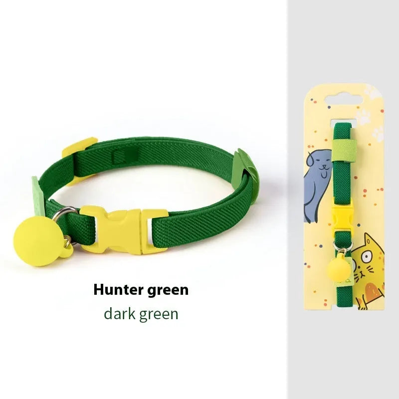 Solid colour elastic polyester dog collar for small breeds, shown in various colours on a white background.