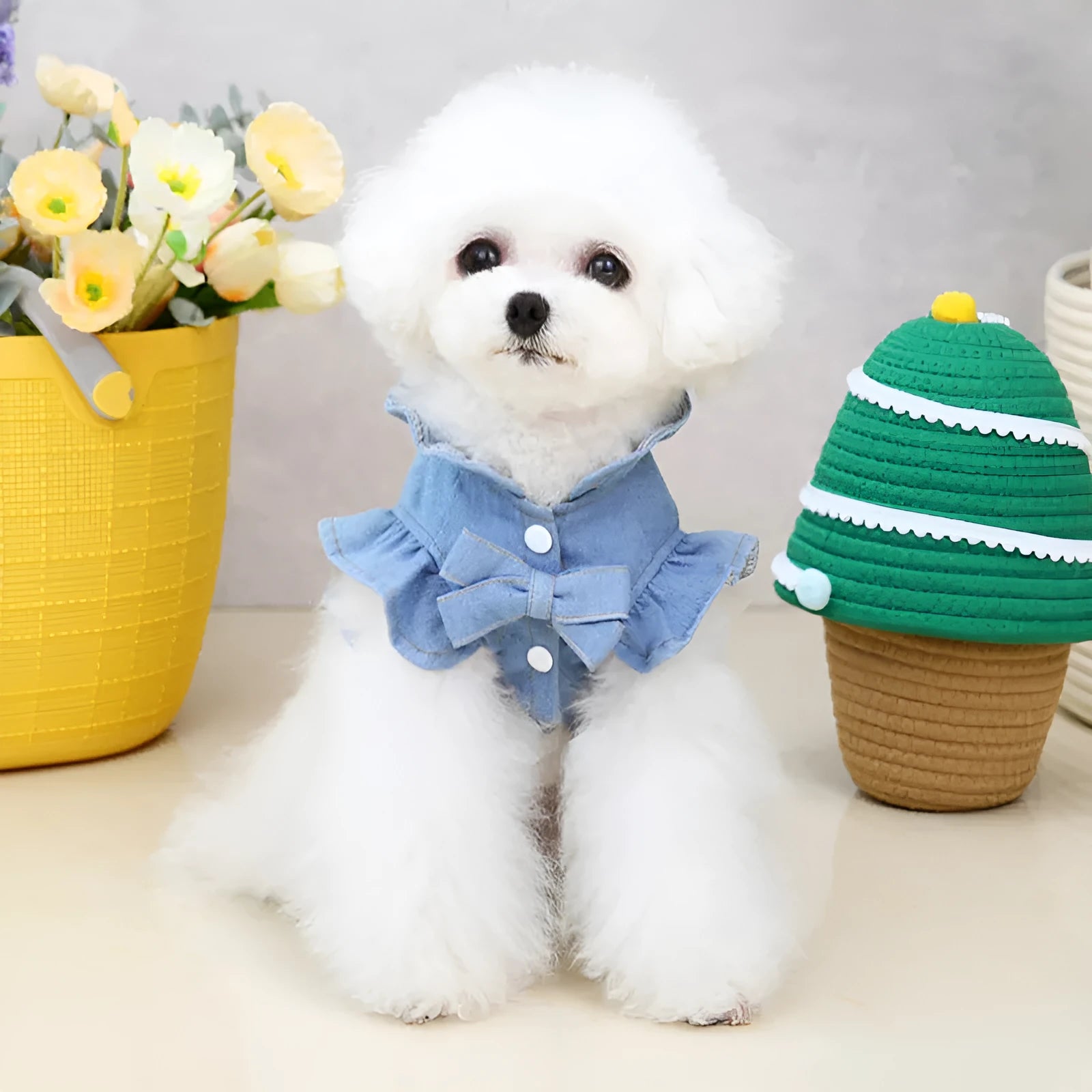 Blue denim dog dress with chest ruffles and a leash hook on the back, shown in dark blue and light blue.