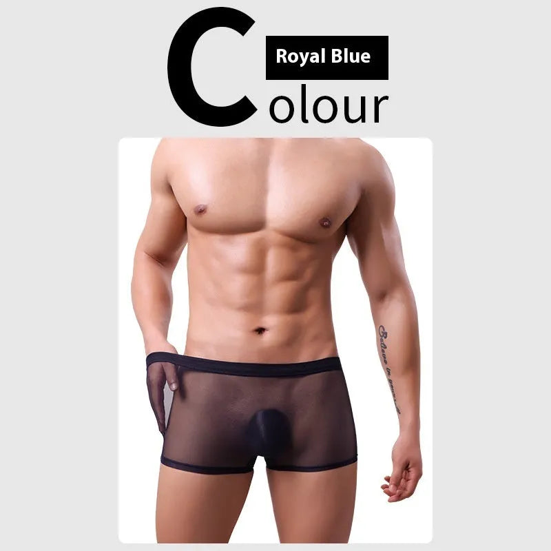 Men's mesh boxer briefs with sheer thin fabric and low waist design in multiple colours