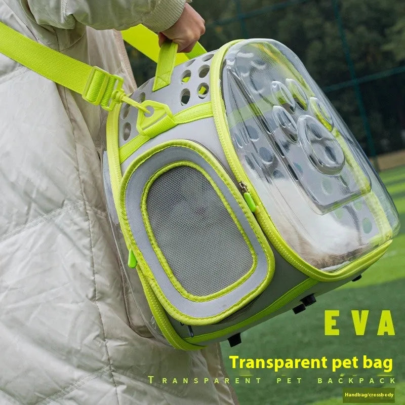 Transparent space capsule cat backpack in hard EVA material showing interior space