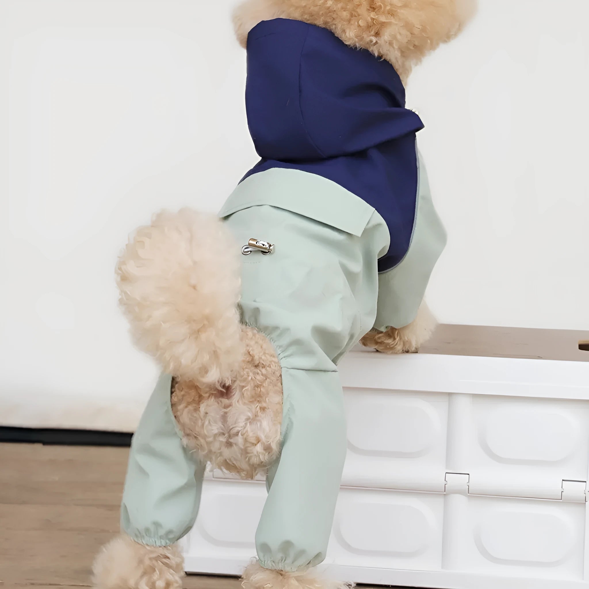 British style waterproof dustproof shell jacket for small medium dogs in polyester fabric