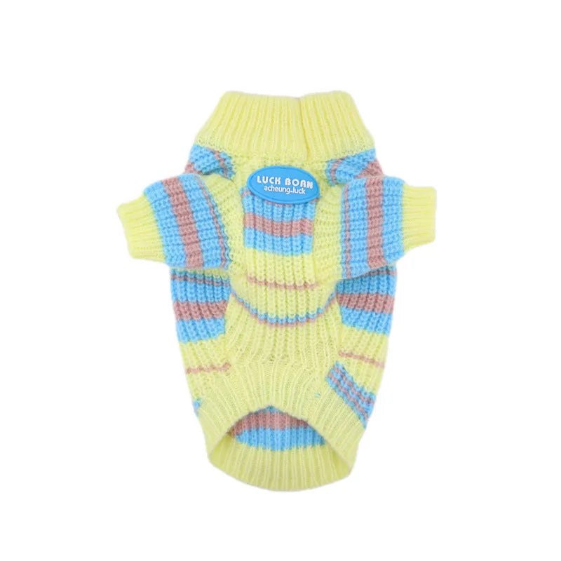 Blue and yellow striped wool sweater on a small dog, showing casual style for autumn