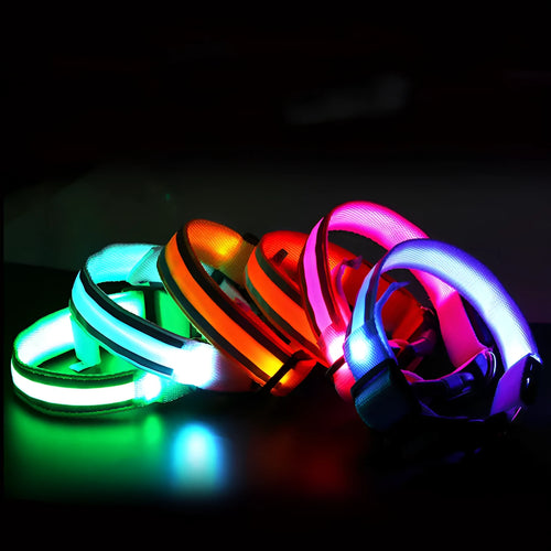 Anti-lost LED luminous dog collar on dog, nylon webbing, monochrome pattern