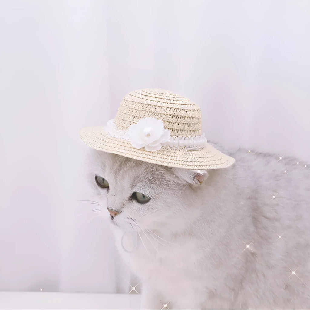 Handmade adjustable paper pet hat with a bowknot for a dog or cat, shown in a cartoon style.