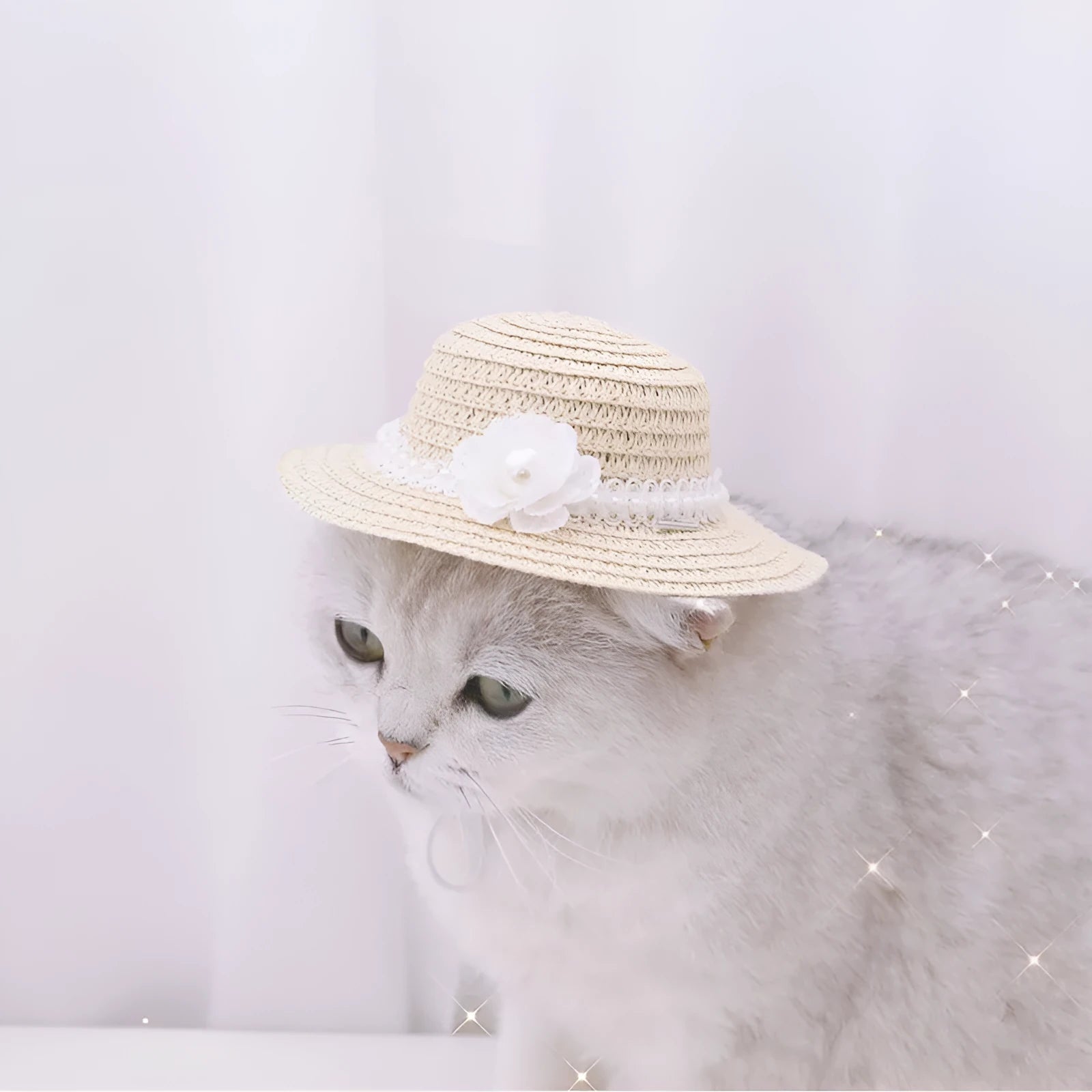 Handmade adjustable paper pet hat with a bowknot for a dog or cat, shown in a cartoon style.