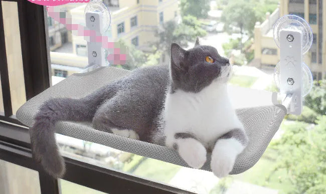 Cat resting on a suction cup window hammock made of plush fabric and steel in beige colour