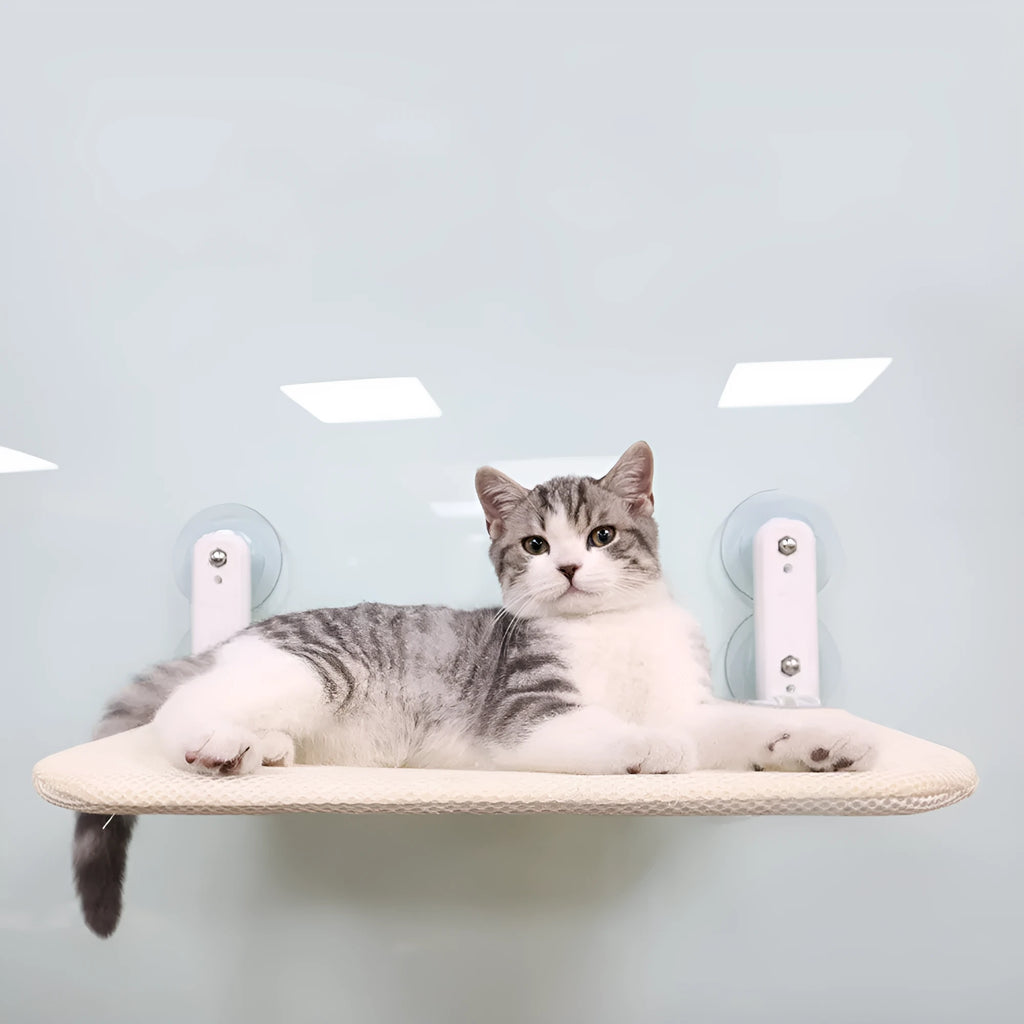 Foldable cat window hammock with stainless steel suction cups mounted on glass window