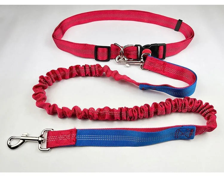 Reflective dog leash with elastic sling in two-tone colours for night walking