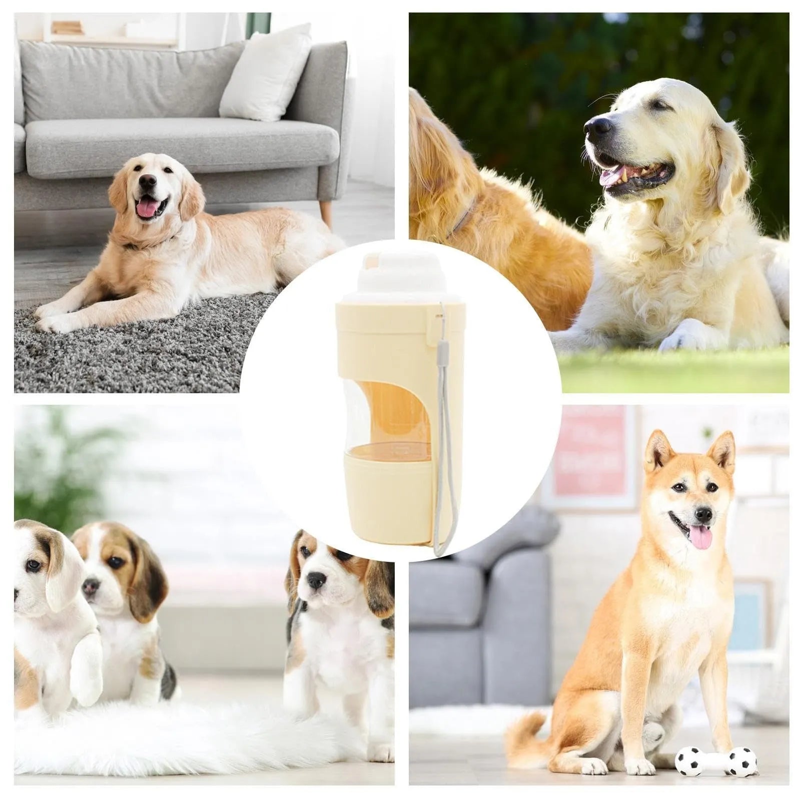 Grey portable 2-in-1 dog water bottle and feeder with drinking cup and lanyard