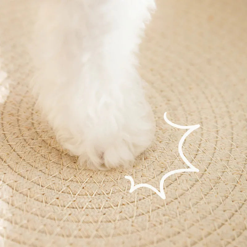 Green oval sisal cat scratching pad that also serves as a cat bed.