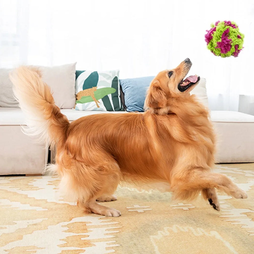 Purple plush dog seaweed ball toy with knotted design for chewing and fetch games