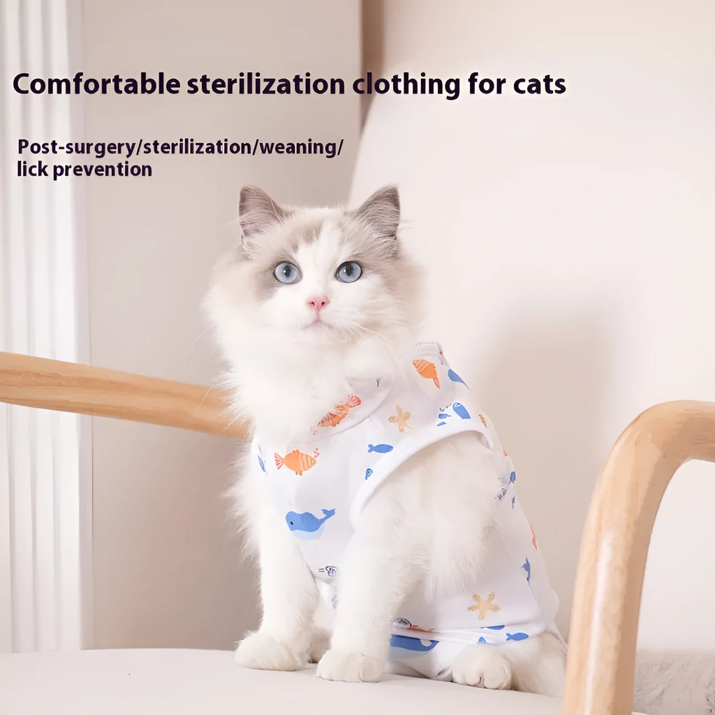 Cat wearing a patterned post-surgery recovery suit with Velcro fastenings on the back.