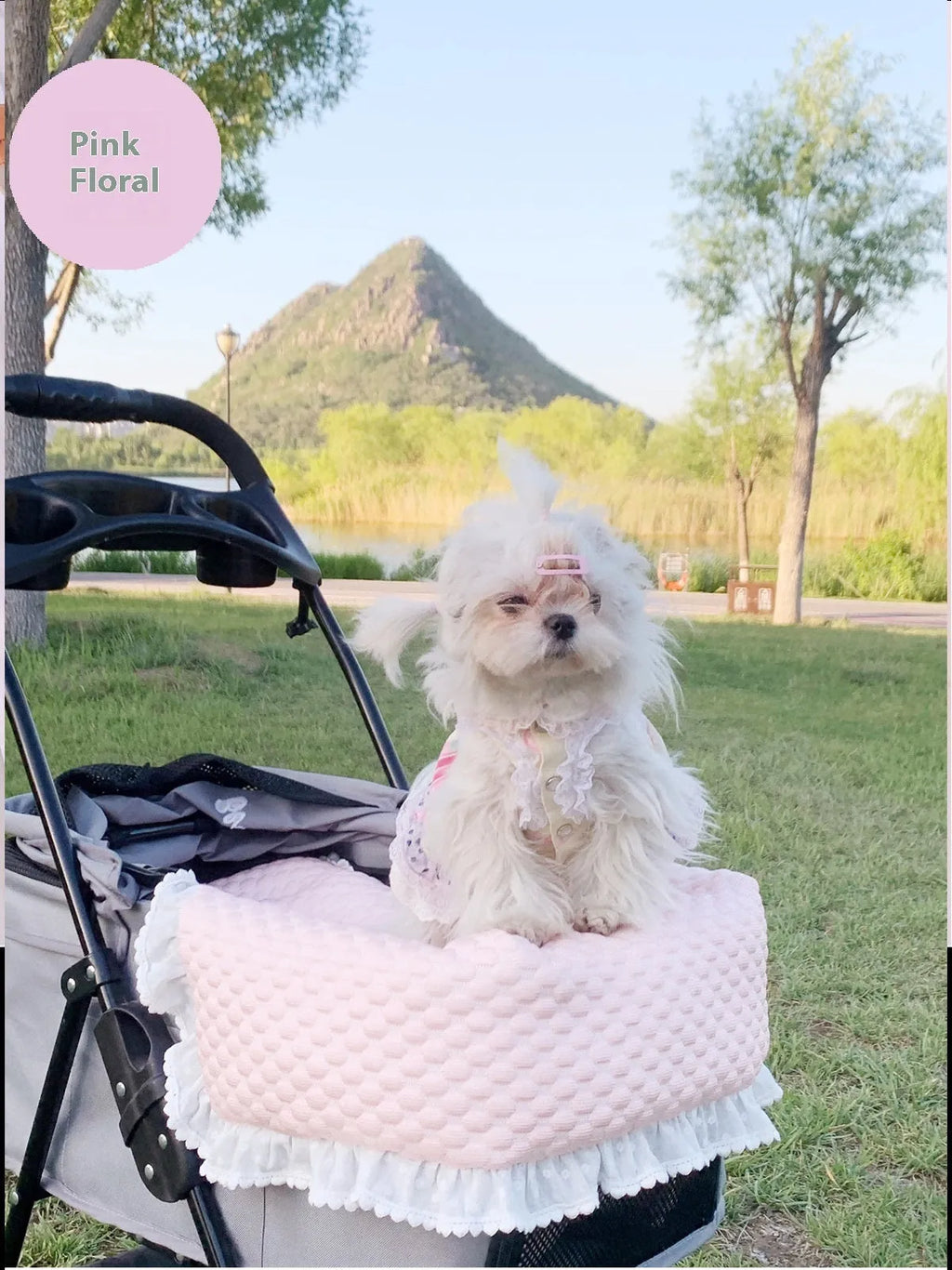 Pet stroller three-piece set showing removable cotton towel, cushion and pillow for cats and dogs