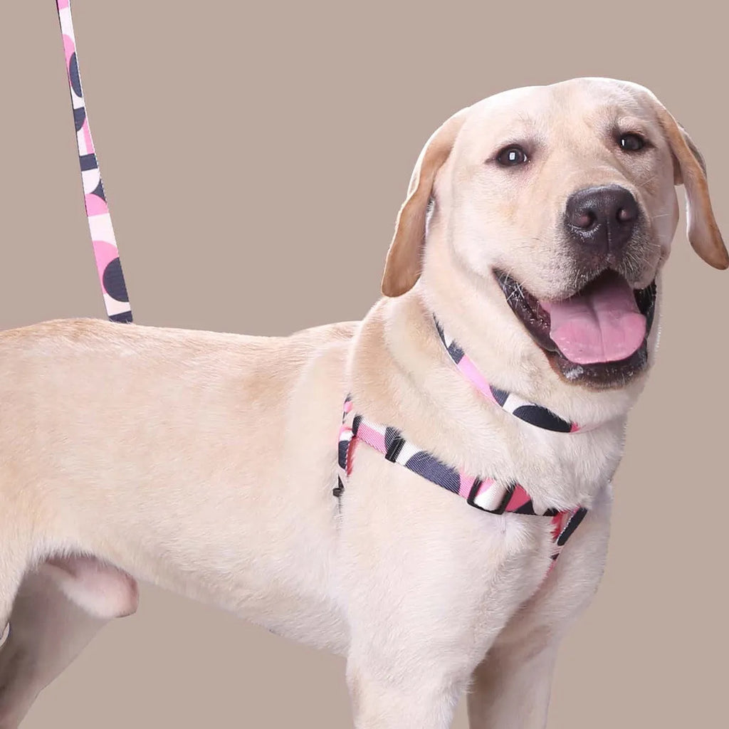 Polyester dog leash collar three-piece set in pink white with hand held rope